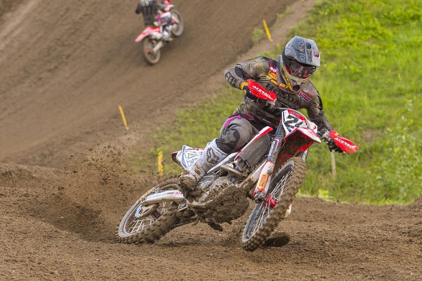 Gajser