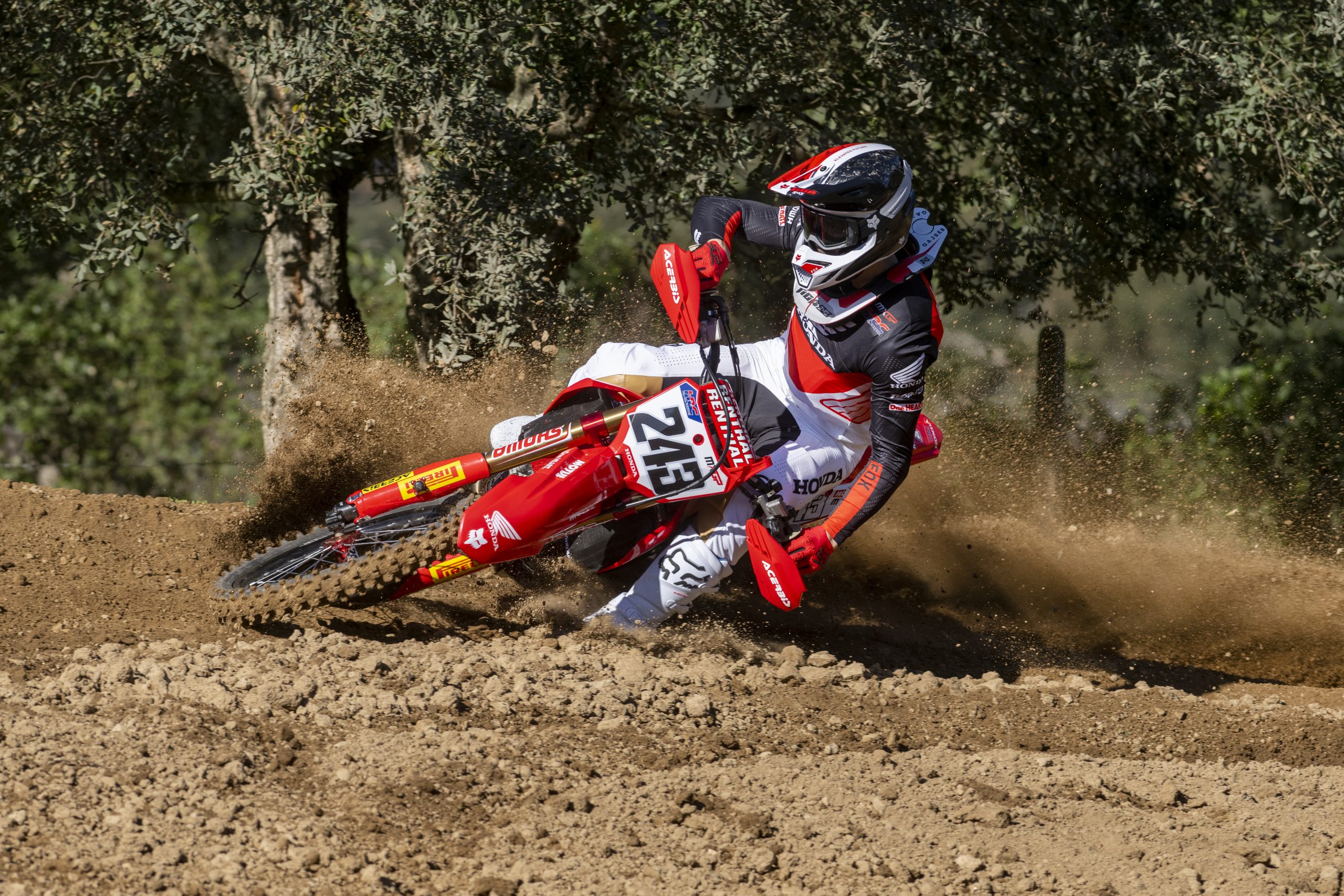 Tim Gajser HRC HONDA