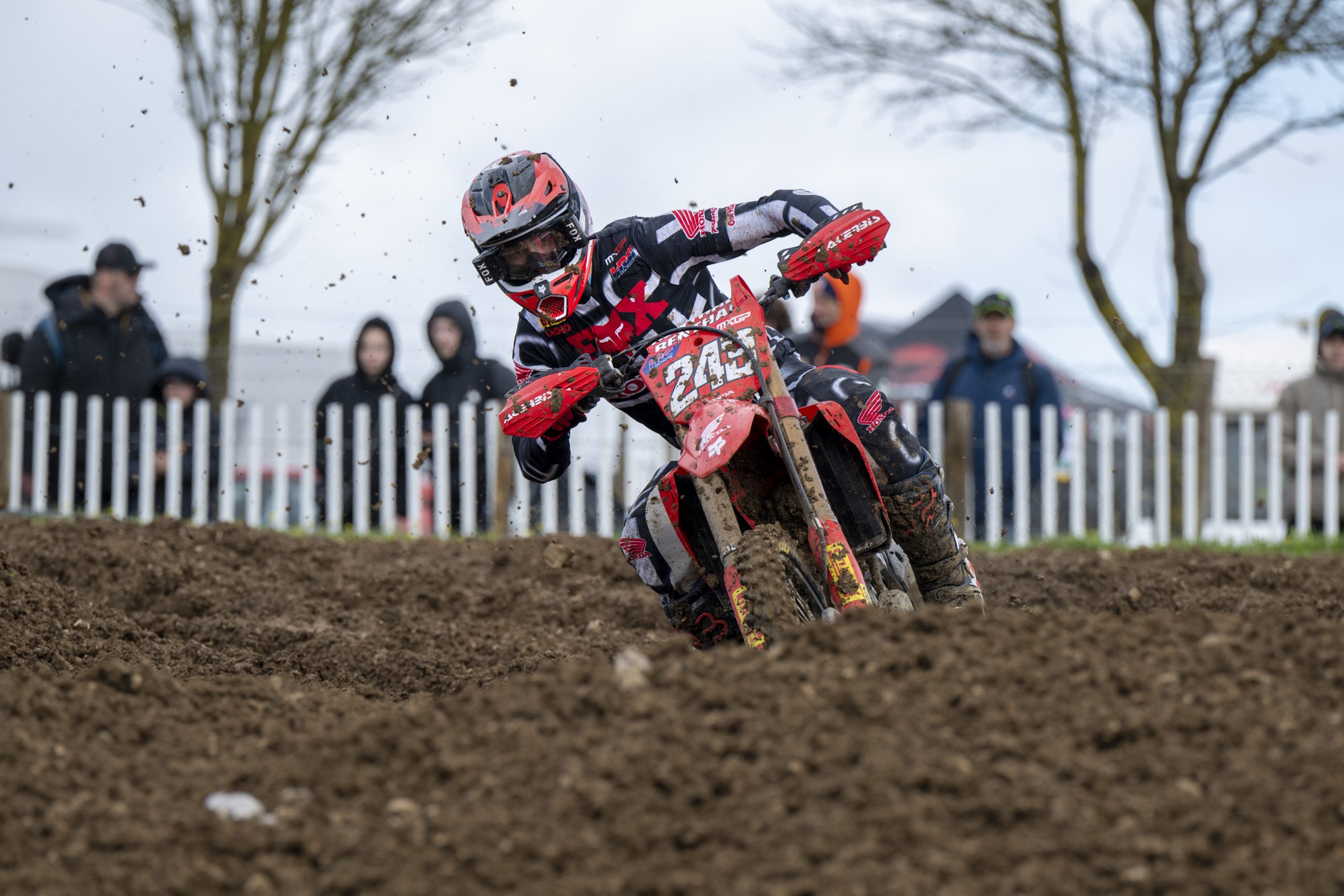 Tim Gajser, HRC Honda